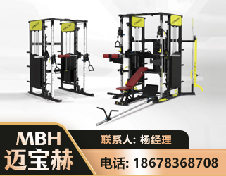 洛阳多功能综合训练器