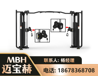 洛阳大飞鸟训练器