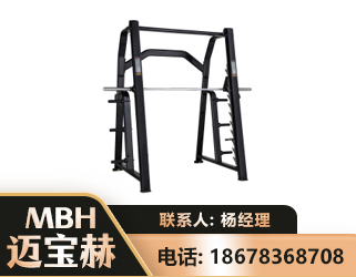洛阳史密斯机